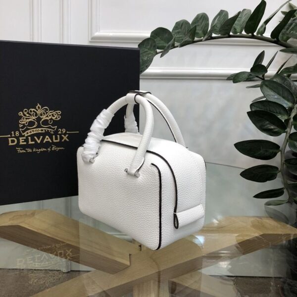 希少色デルボー Cool Box Mini 偽物 クールボックスミニ バッグ Dei87181