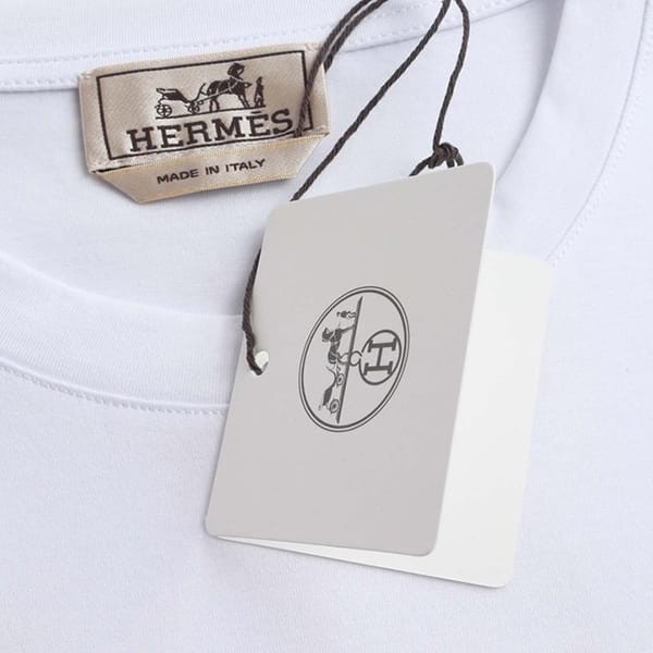 【希少♪涼し気に】エルメス Tシャツ コピー 2色 erw12324